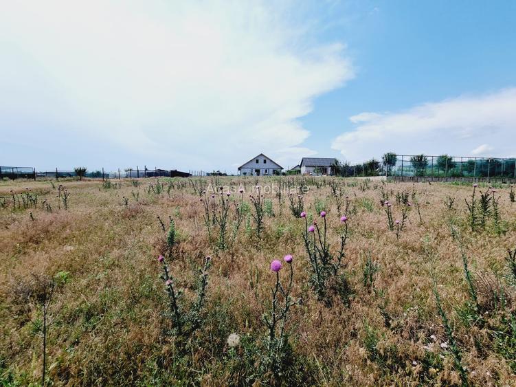 Teren Construcții extravilan de 873 mp, în Vânători - 5