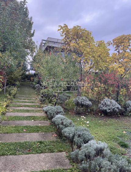 VILĂ P+1 CU GRĂDINĂ MATURĂ DE 830 MP | CORBEANCA – LAGUNA ALBASTRĂ - 27