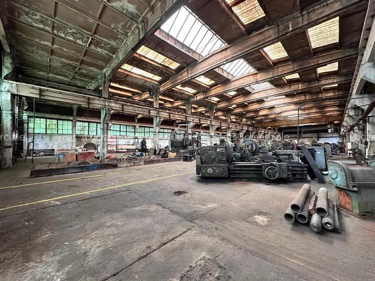 Hala productie, depozitare Vaslui, 5132mp - 16
