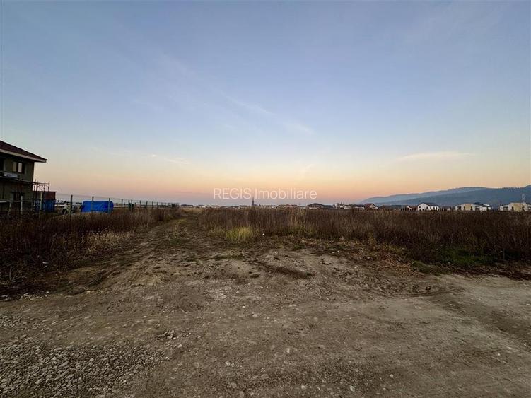 Teren intravilan granita Rasnov Cristian 890 mp - 4