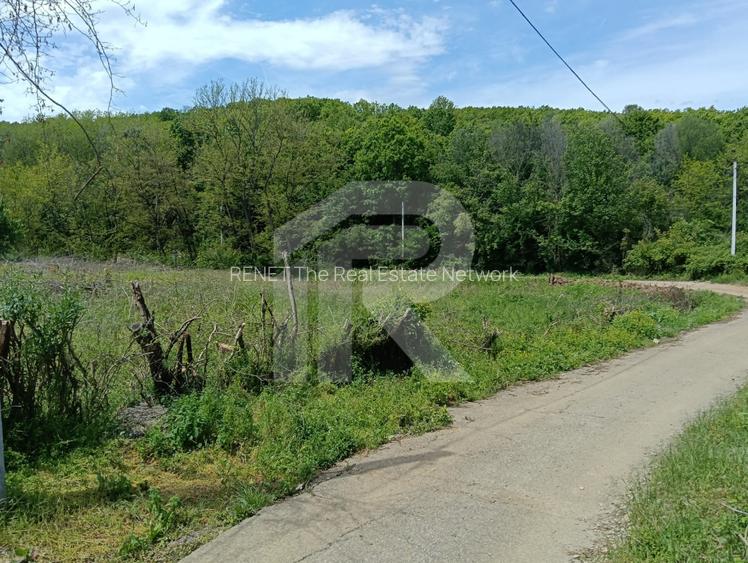 intravilan Tiparesti, relaxare aproape de padure - 4