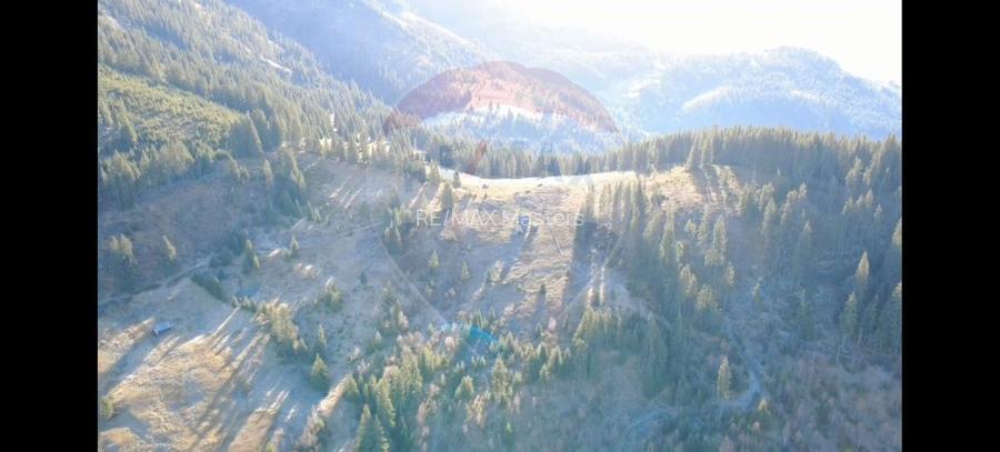 Teren 31,461mp Panaci / Prelungirea Ialovita - 2