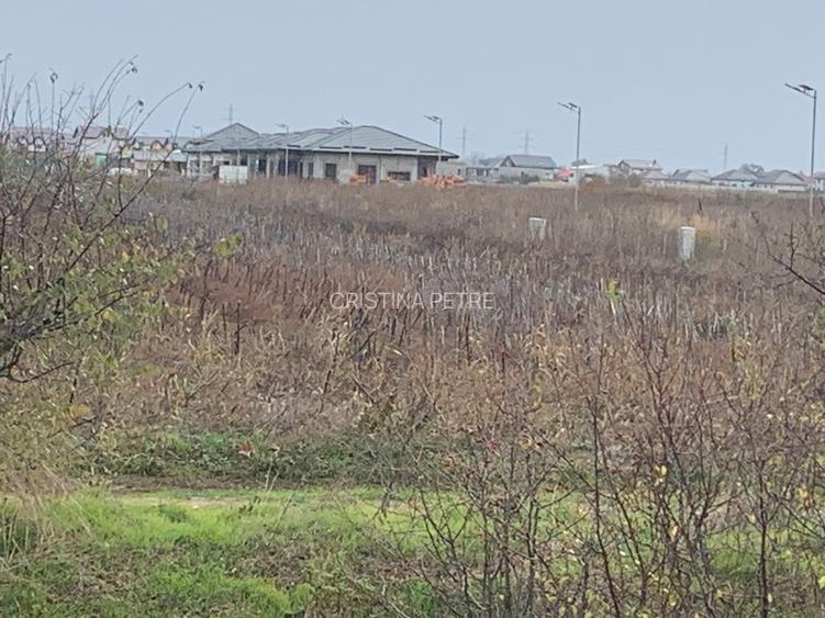 Teren Sabareni linga padure 10 minute pina in Bucuresti - 8