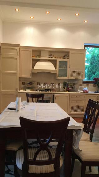 Ultracentral,vila S+P+E,faleza Dunarii,langa parc,Primaria Corabia,teren=1137mp - 11