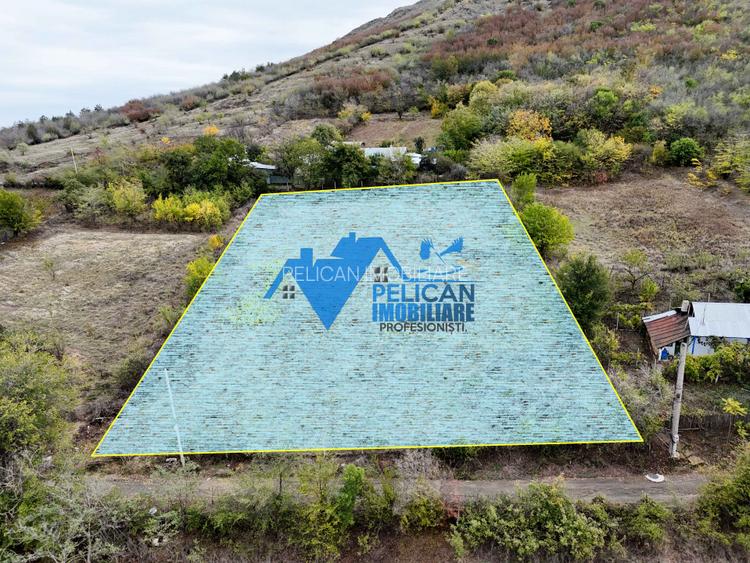 Teren intravilan NICULITEL, zona deosebita, 3044MP - 12