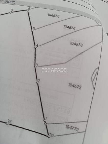 Comision 0%, teren extravilan 12497 mp Sinca Noua - 18