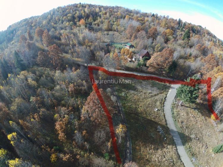 Teren Intravilan La Izvoare - 5