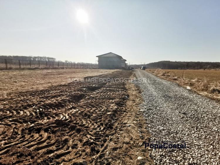 Silistea Snagovului teren intravilan 900 mp + 100 mp drum servitute - 2