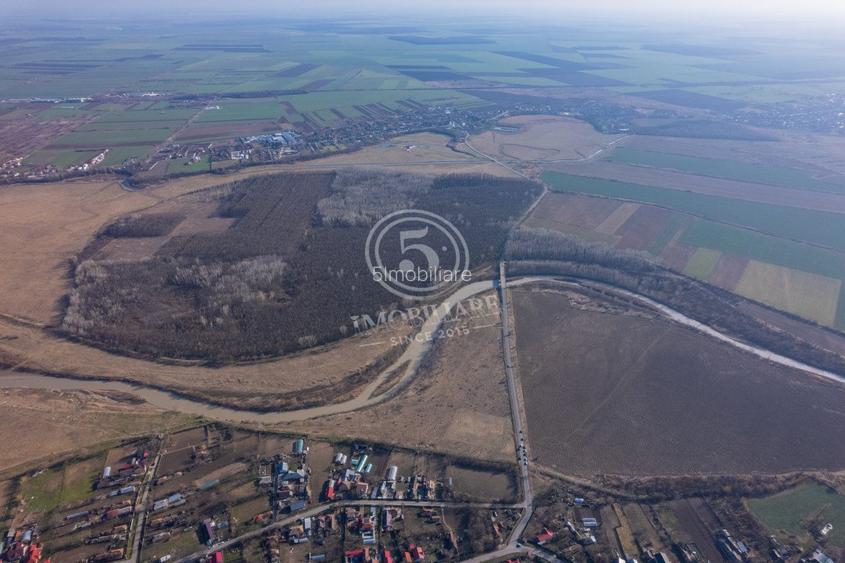 Padure de vanzare - Padurea lui Bolete, Fierbinti-Targ - 6