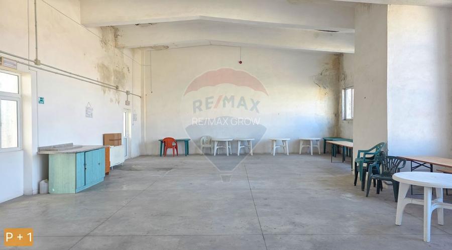 De vanzare spatiu industrial in Turnu Magurele - Teleorman - 23