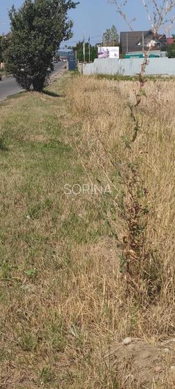 Teren pentru dezvoltare – 10.000 mp – utilități complete – str. FERMELOR - 6