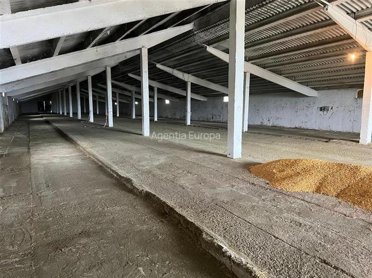 Hale de inchiriat localitatea M. Kogalniceanu Tulcea - 8