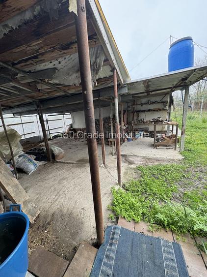 Casa 2 camere | Vucova | 1449 mp teren - 2