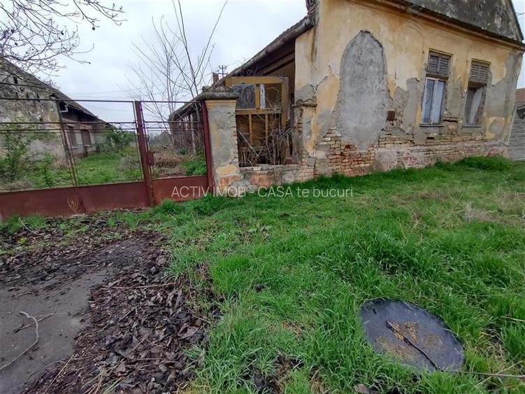 Iecea Mare - Timis, Casa cu Gradina, 1800mp Teren, Pret Negociabil - 27
