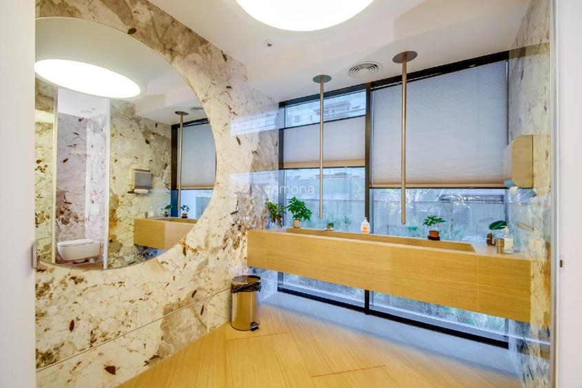 inchiriere spatiu Comercial/Birouri in anasamblul Cortina North  - 11