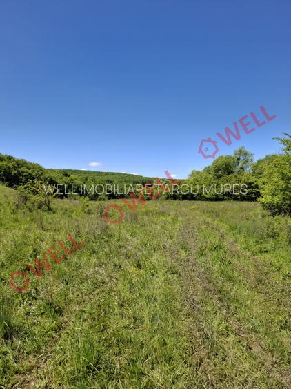 De vânzare teren intravilan de 30 000 m² (3 ha) în Reghin - 7