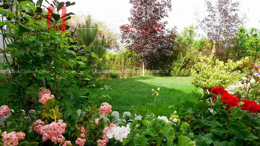 Mansion Luxuriant | Piscina Interioara | Teren tenis | 2500 mp gradina superba - 6