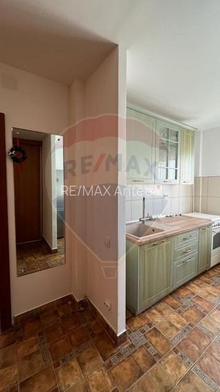 Apartament cu 2 camere - Drumul Taberei - statie Hanul Drumetului - 6