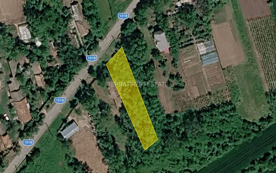 15000 euro pentru 900 mp! Intravilan Nuci, sat Merii Petchii - 7