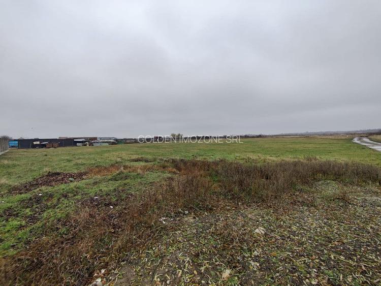 Teren 4588 mp, Remetea Mare Comision 0% - 6