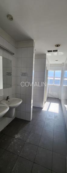 Showroom auto suprafata 6500 mp, teren 1500 mp, deschidere 90 ml la DN 1. - 42