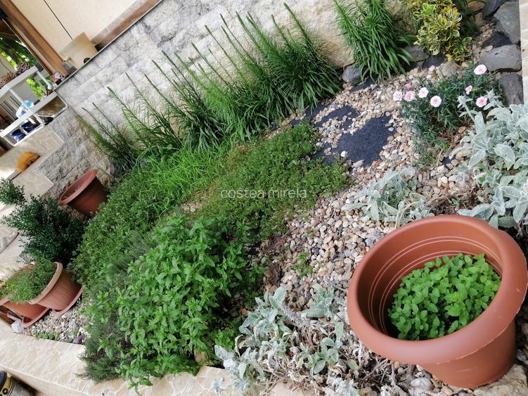 Casă de vacanță la marginea pădurii  - 13