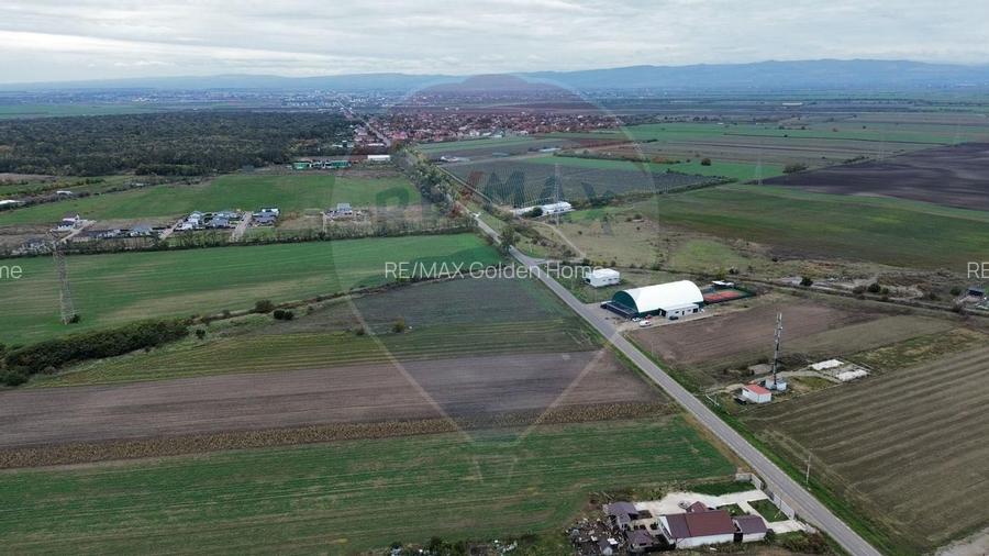 Teren 1,800mp Mircestii Vechi / DJ 204E - 3