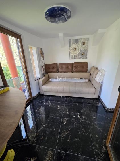 Vând teren cu iaz și livadă de nuci – Ilișești, aproape de Suceava - 9