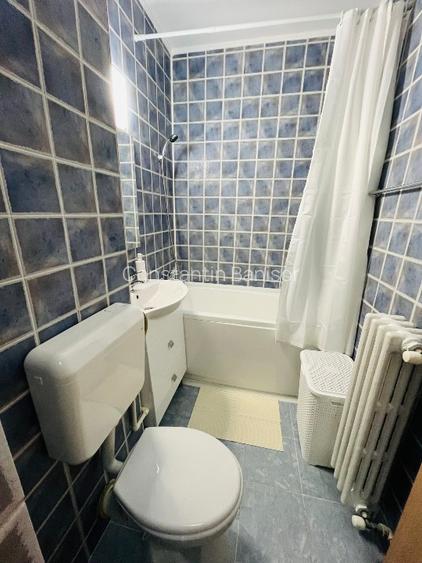 Garsonieră de închiriat – Liviu Rebreanu / ParkLake Mall / Parcul IOR - 6