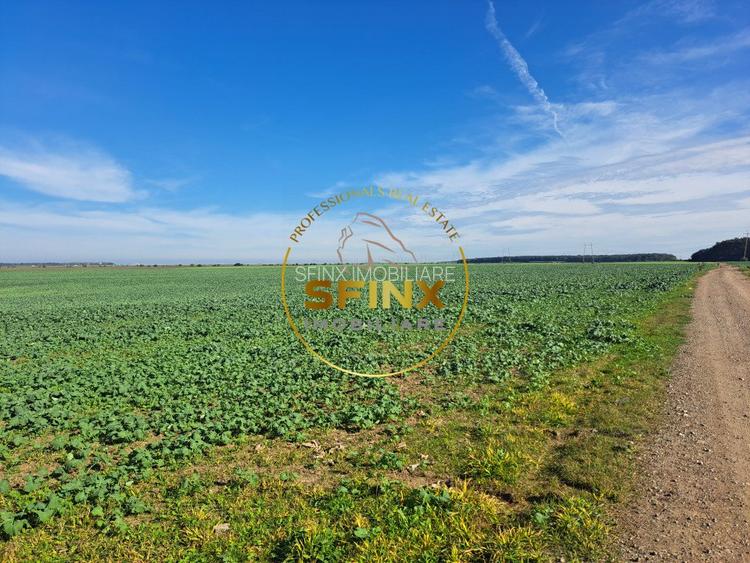 Teren intravilan Branesti 27000 mp km 12 Autostrada A2 - 3