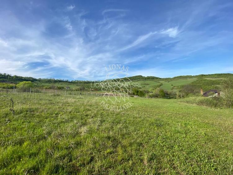 Teren 2160 mp - pretabil pentru cabana - investitie - Jelna - 6