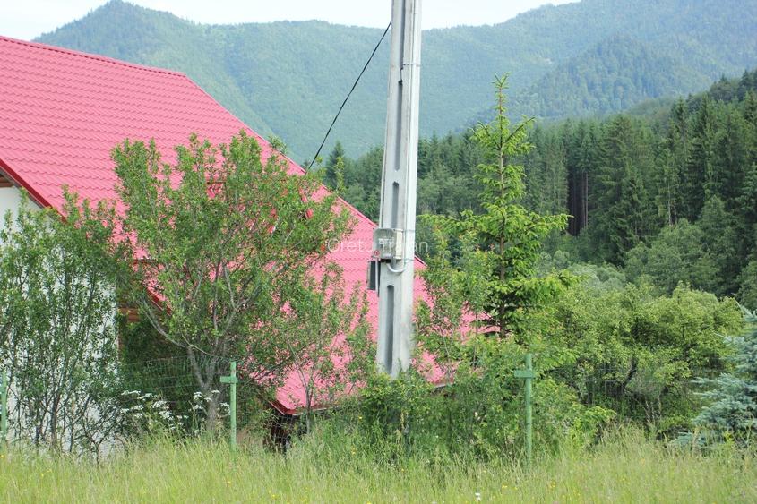 Teren de vanzare GRESU, Lepsa, Vrancea - 7700 MP - URGENT - NEGOCIABIL - 6