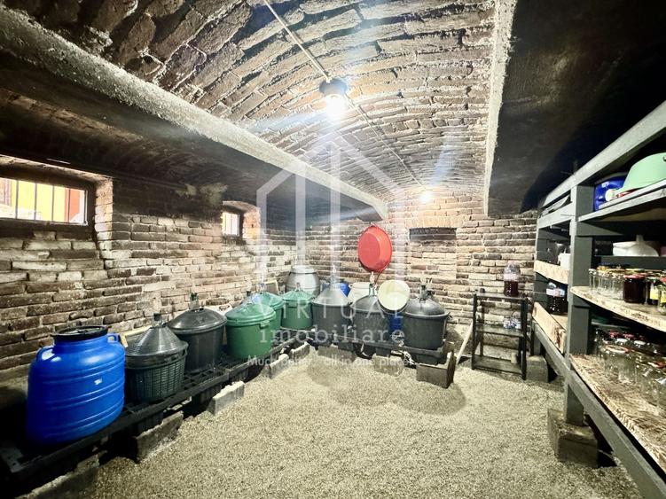 Casa cu 2 camere si demisol, 65mp utili, 255mp teren, Cristian