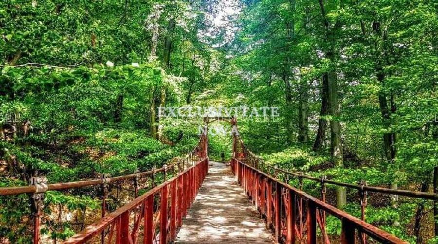 0% Vanzare teren si constructie Locatie de exceptie Calimanesti Calea lui Traian - 3