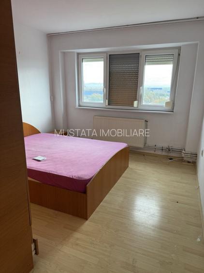 Apartament 3 camere, confort 1 decomandat, Calarasilor Viziru - 3