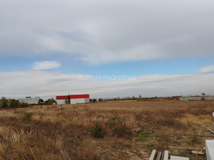 Proiect Hala pentru Depozitare sau Productie in  Bolintin Deal. - 2