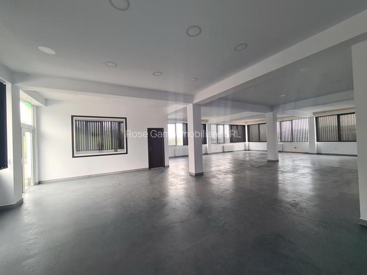 Spațiu birouri / depozitare / producție ușoară – Tătărași, Aurel Vlaicu - 7