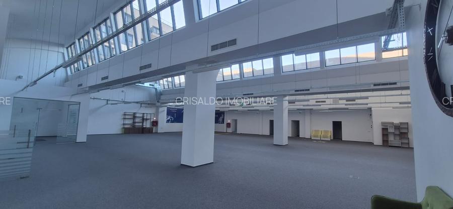 Spatiu de birouri / comercial / show room Domenii - Parcul Copilului - 12