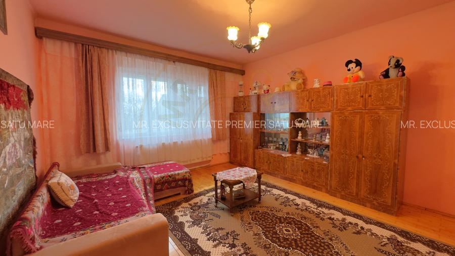 Casa 7 camere cu Teren 4.620 mp | Potential pentru rezidenta sau afacere | Carei - 9