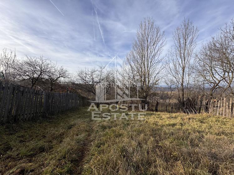Casa batraneasca la munte, in Hunedoara, Tinutul Padurenilor, Cerbal - 12