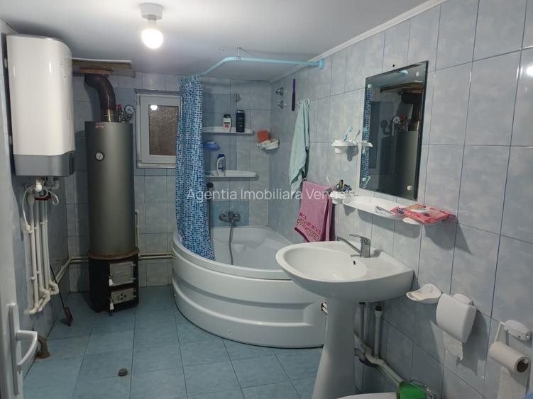 Casa cu 1ha teren la Baisa - 8