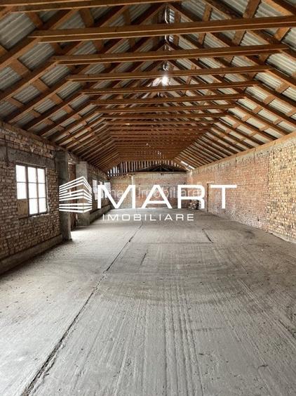 Teren intravilan 16000 mp + hale Calea Surii Mici - 4