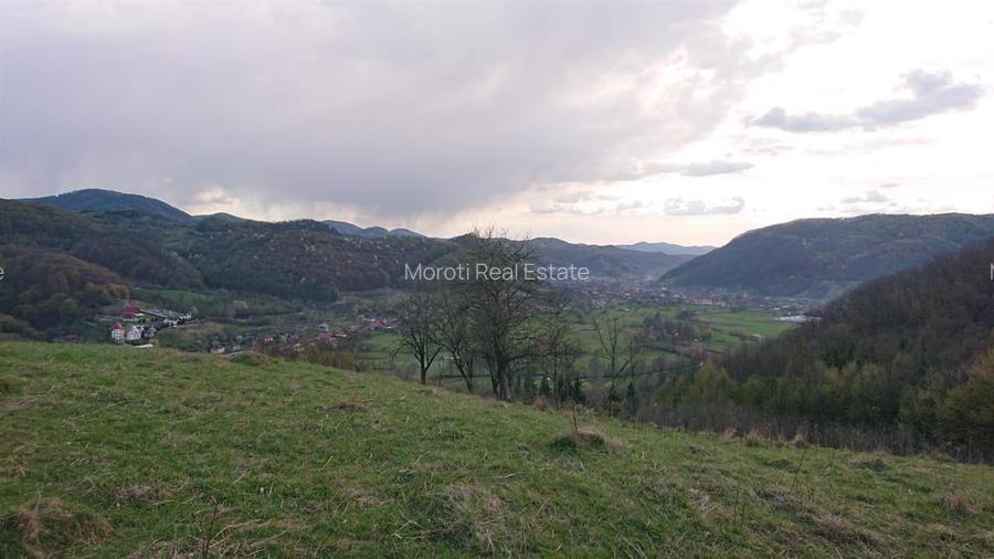 Domeniu de 7 ha in Apuseni - Criscior, Hunedoara - 8