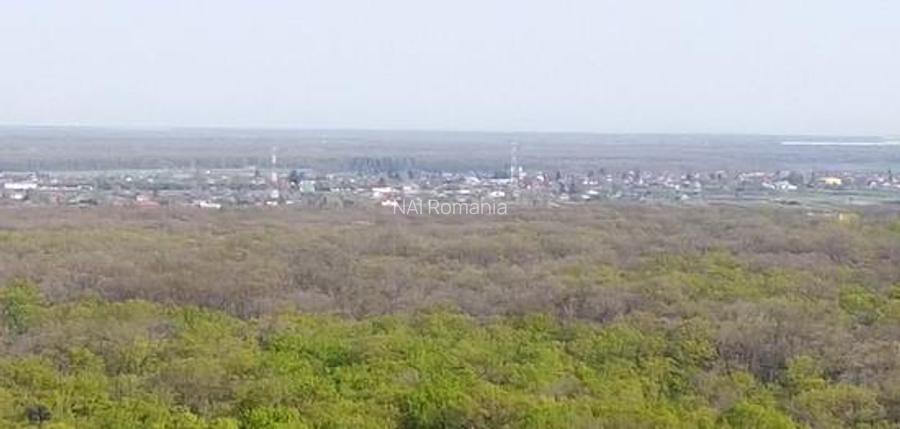 Vanzare Teren Central, Moara Vlasiei - 2