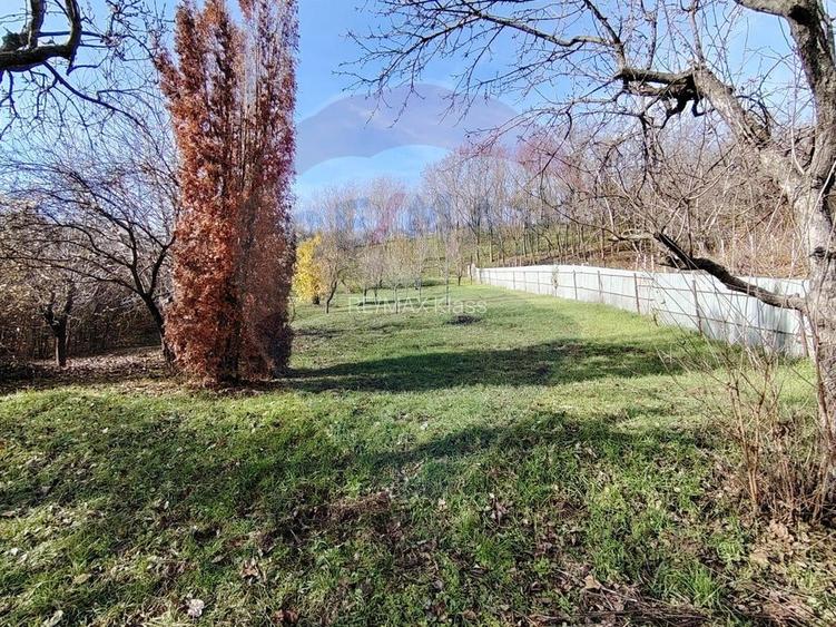 Lux Mediteranean si Intimitate pe 4.000 mp Domeniu Privat Gura Vaii - 22