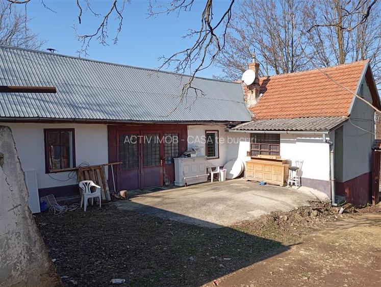 Petrosnita, Casa, 4 incaperi la 10 min. de Caransebes - 17