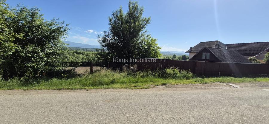 Teren intravilan de vânzare – Coltău, Maramureș | Zonă rezidențială de case - 2