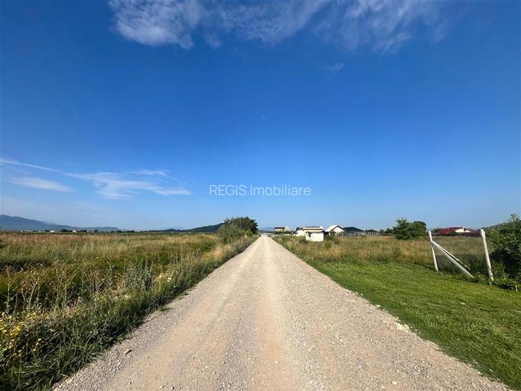 TEREN INTRAVILAN, HARMAN - 2