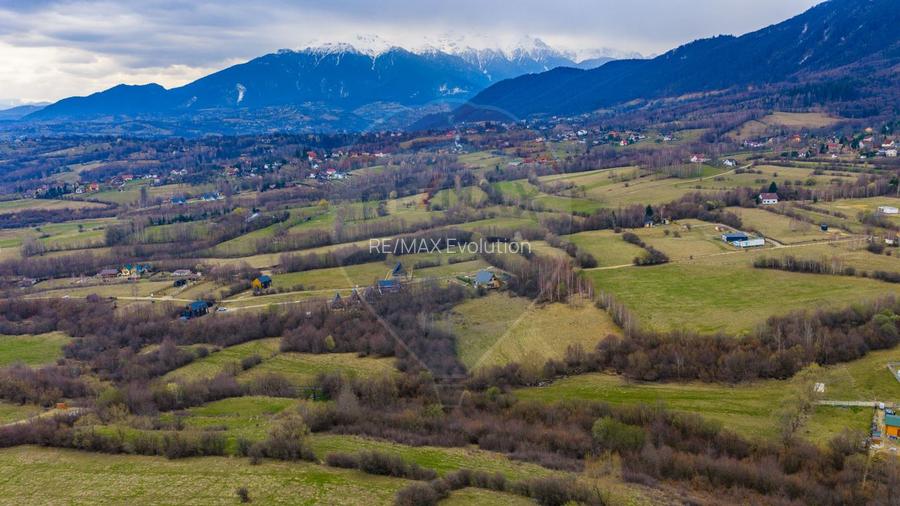 COMISION 0%| DE VANZARE| 480MP| INTRAVILAN| PRIVELISTE+LINISTE| - 9