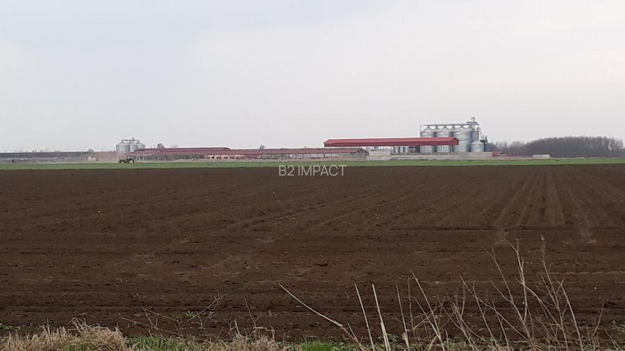 de vanzare Ferma Vaci - 17